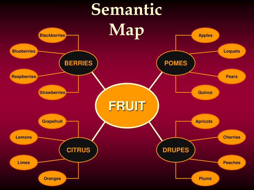 PPT Building a Semantic Map PowerPoint Presentation, free download