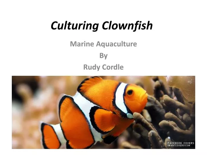 download clownfish plugin for teamspeak 3 download download clownfish plugin for teamspeak 3 download