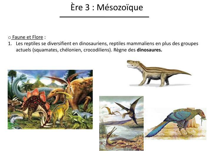PPT - Histoire de la vie sur la Terre PowerPoint Presentation - ID:2414443