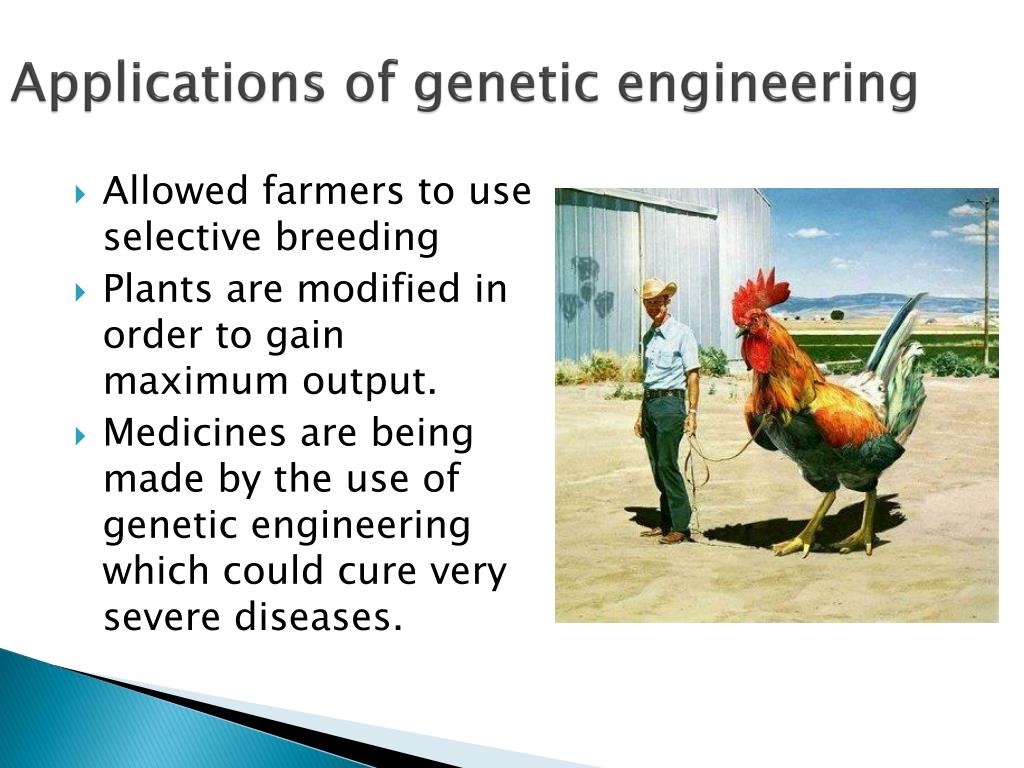 research papers on genetic engineering