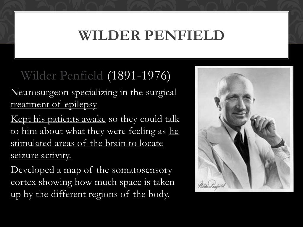 PPT THE BIOLOGICAL PERSPECTIVE PowerPoint Presentation Free Download PPT THE BIOLOGICAL PERSPECTIVE PowerPoint Presentation Free Download
