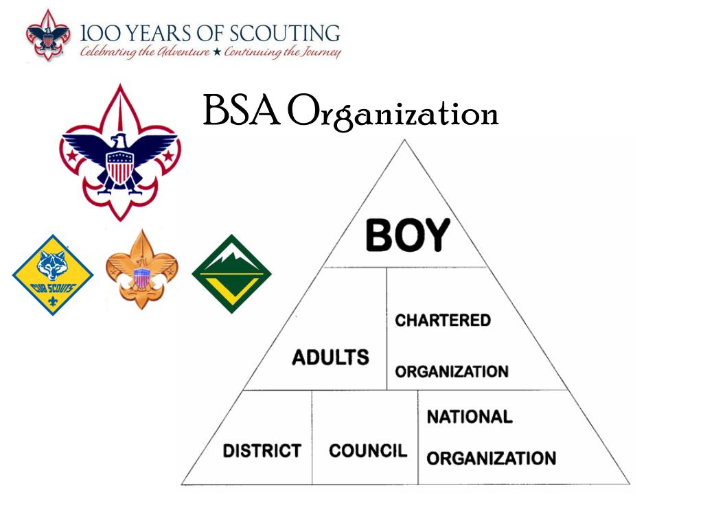 Bsa Org Chart