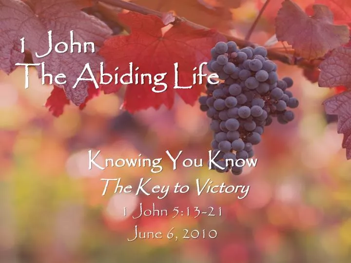 1 john the abiding life n.