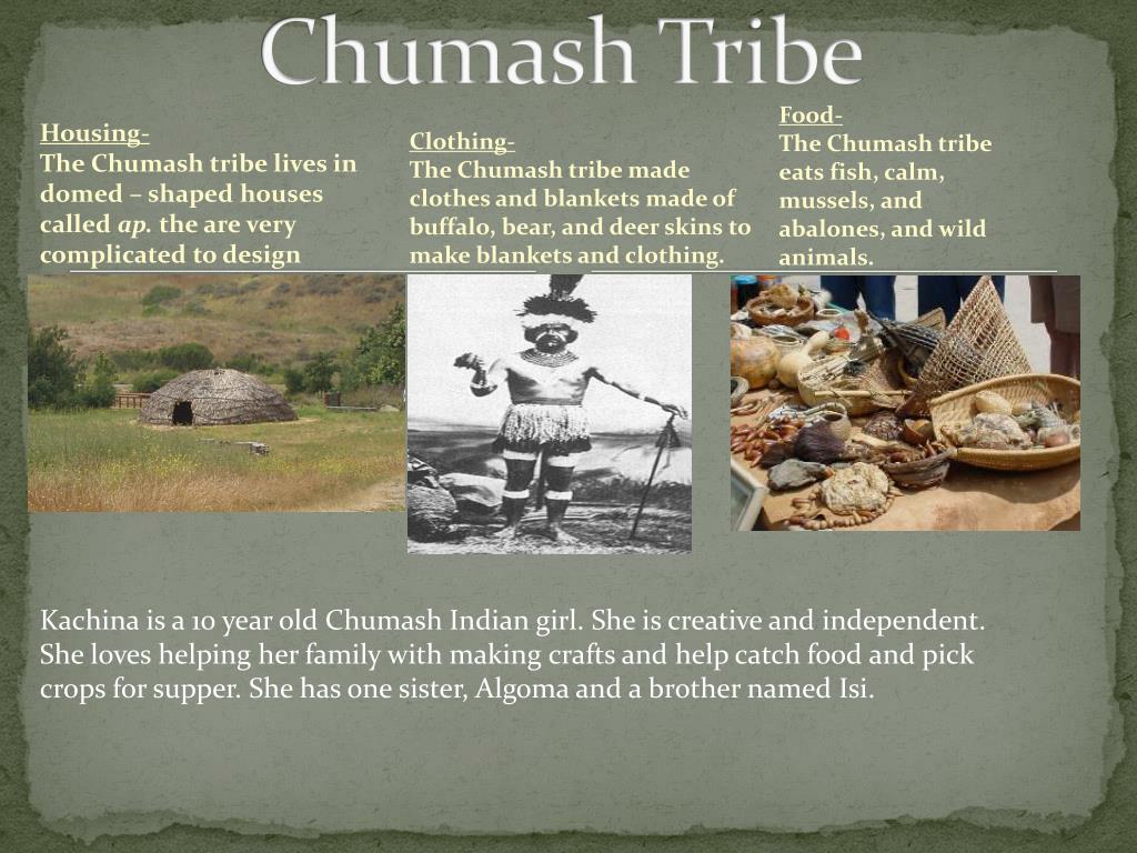 Live with tribe. Life with the Tribe. Name game: Life with the Tribe. Food clothes and Shelter.