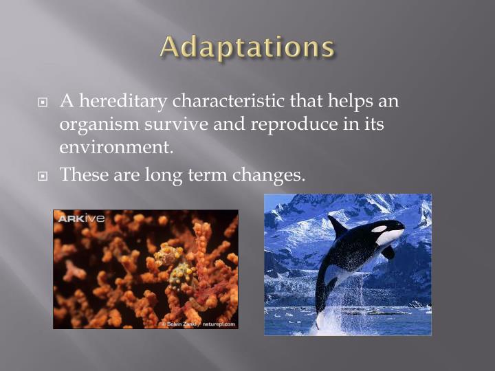 The Laws Of Natural Selection Is Supported By The Laws Of Natural Selection Is Supported By