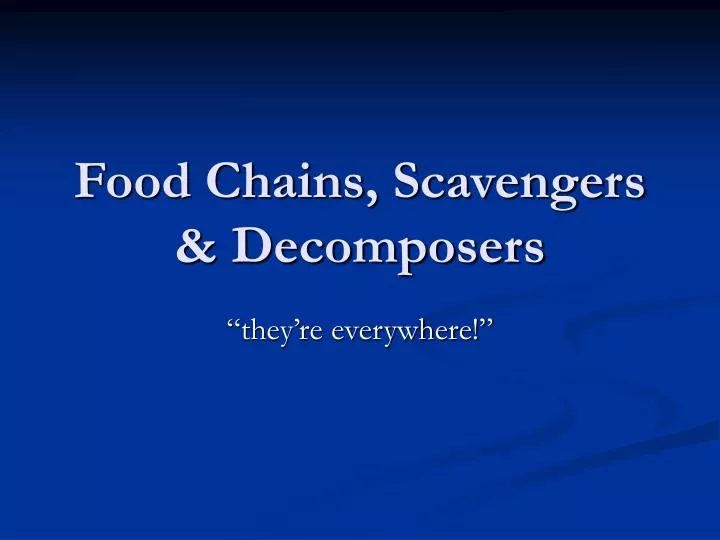 PPT - Food Chains, Scavengers & Decomposers PowerPoint ...