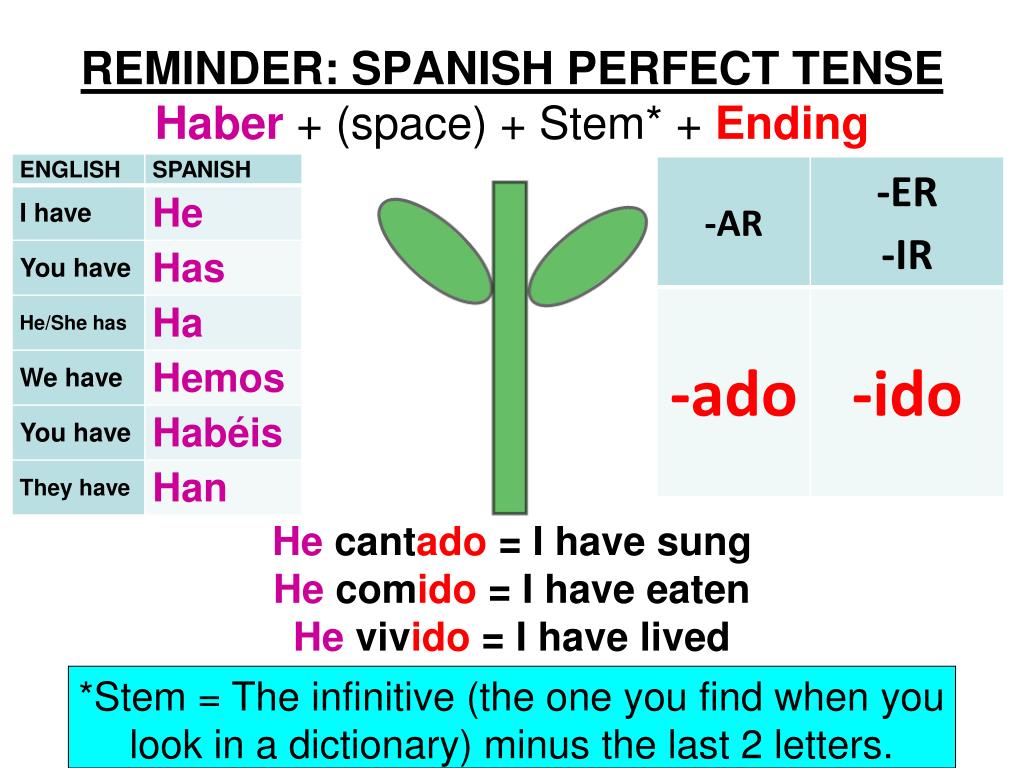PPT The Spanish PLUPERFECT TENSE What Does This Tense Mean How Do I Use Haber For This Tense