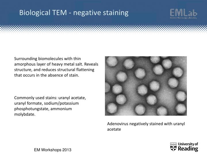 PPT Transmission Electron Microscopy PowerPoint Presentation ID2417439