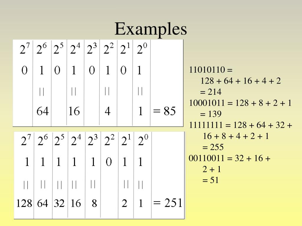 PPT - The Binary Numbering Systems PowerPoint Presentation, free download -  ID:2418334