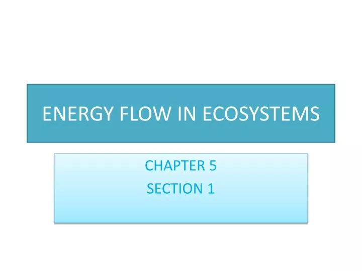 energy flow in ecosystems n.