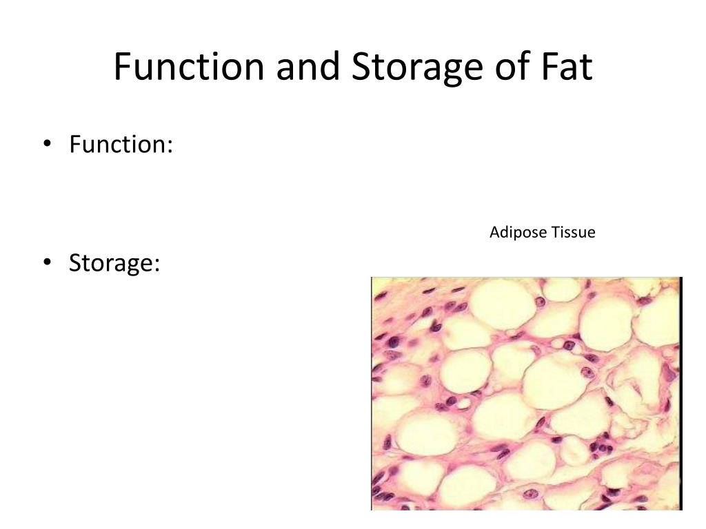 Ppt Chapter 5 Macromolecules Lipids Powerpoint Presentation Free