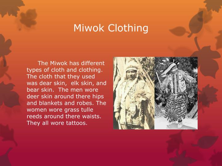 PPT The Miwok A California Native American Tribe PowerPoint