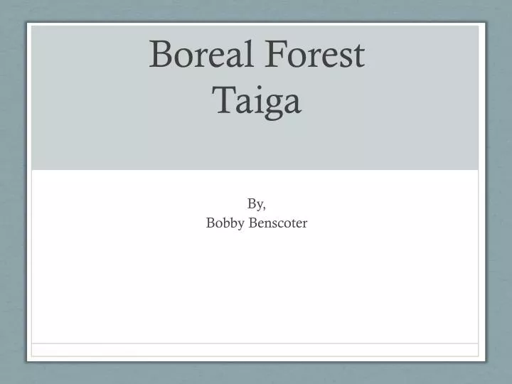 PPT - Boreal Forest Taiga PowerPoint Presentation, Free Download - ID ...