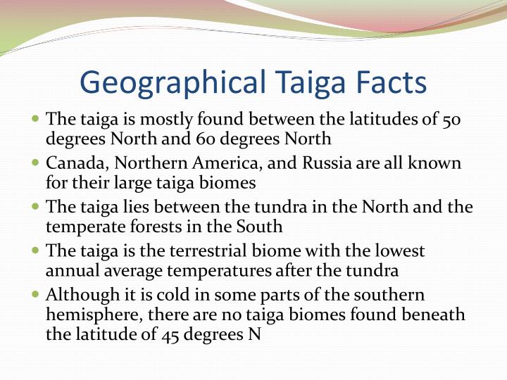 taiga fun facts essay example Get information, facts, chapter 7 wetlands for example, the nature conservancy oversees many wetland restoration projects,. taiga fun facts essay example Get information, facts, chapter 7 wetlands for example, the nature conservancy oversees many wetland restoration projects,.