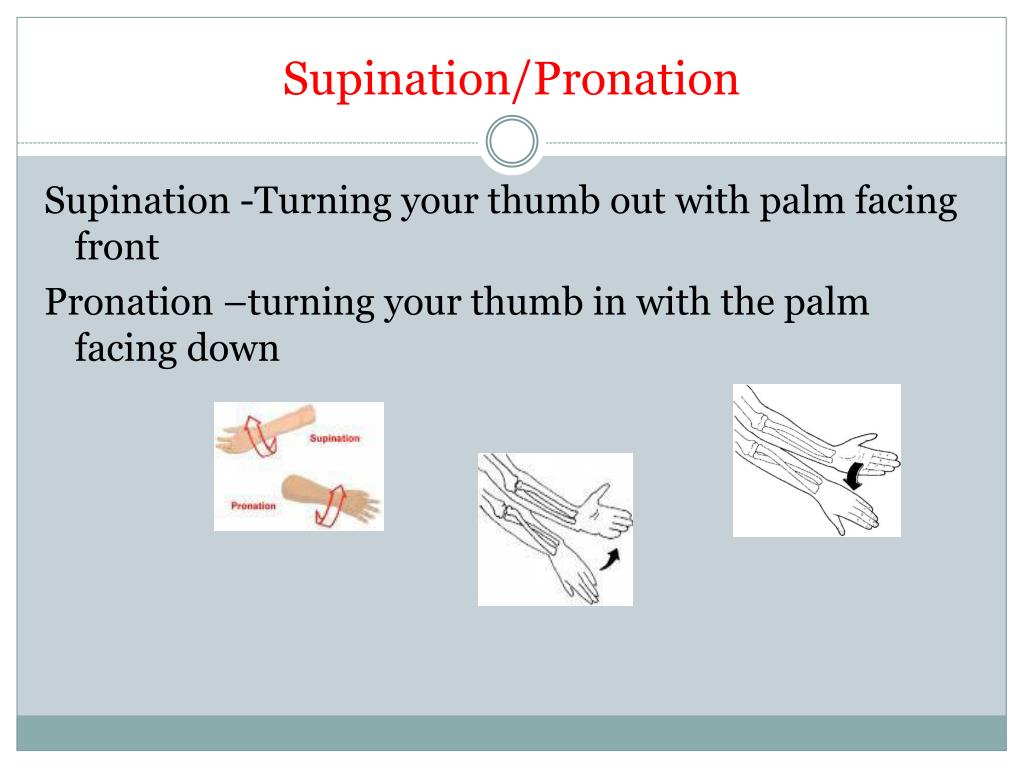 PPT - PE TERMINOLOGY PowerPoint Presentation, free download - ID:2421551