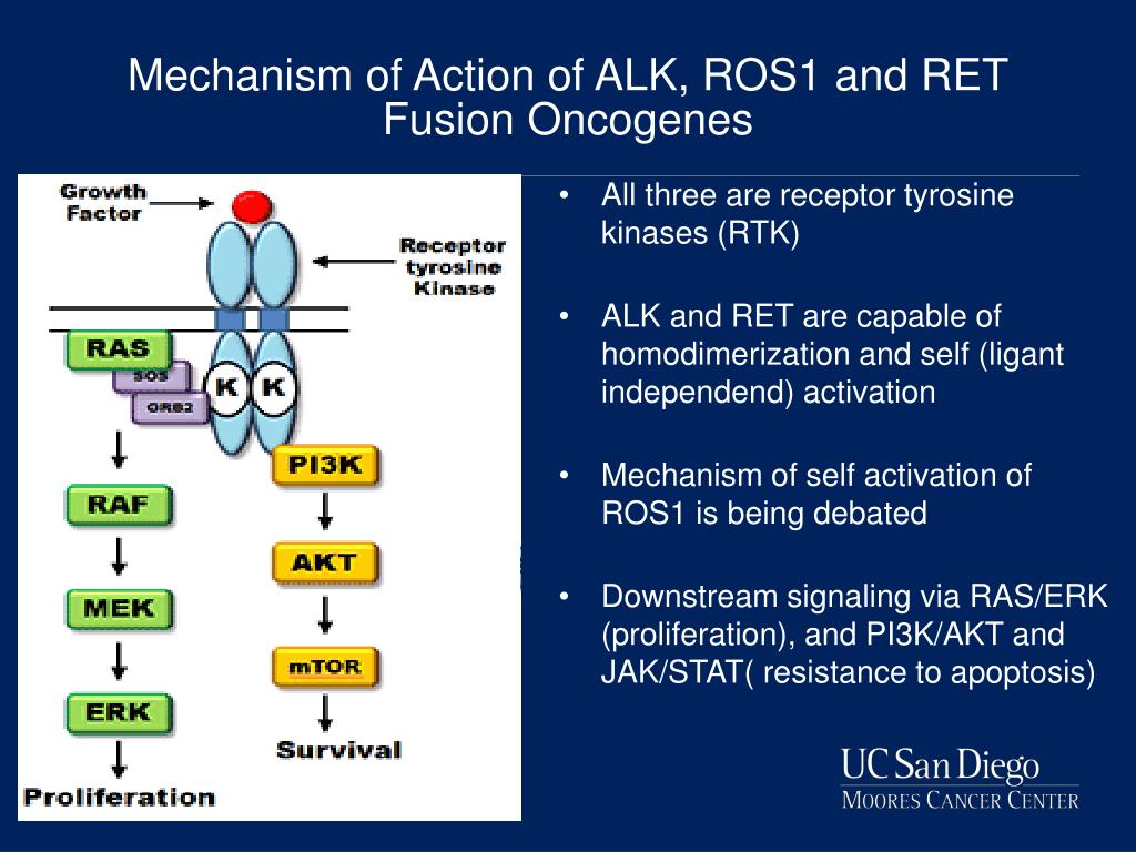 Ret solutru что это. Ros1 киназа. Alk мутация. Ген alk. Транслокация в гене ros1.