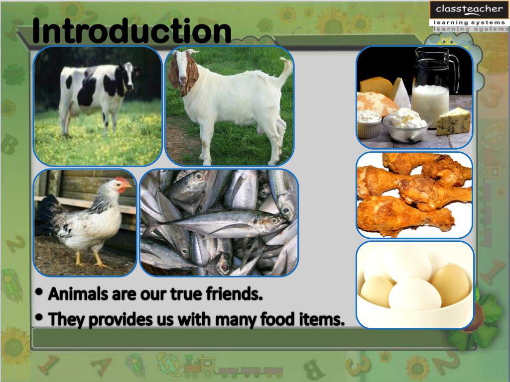 PPT - Animal Products PowerPoint Presentation, free download - ID:2425290 PPT - Animal Products PowerPoint Presentation, free download - ID:2425290