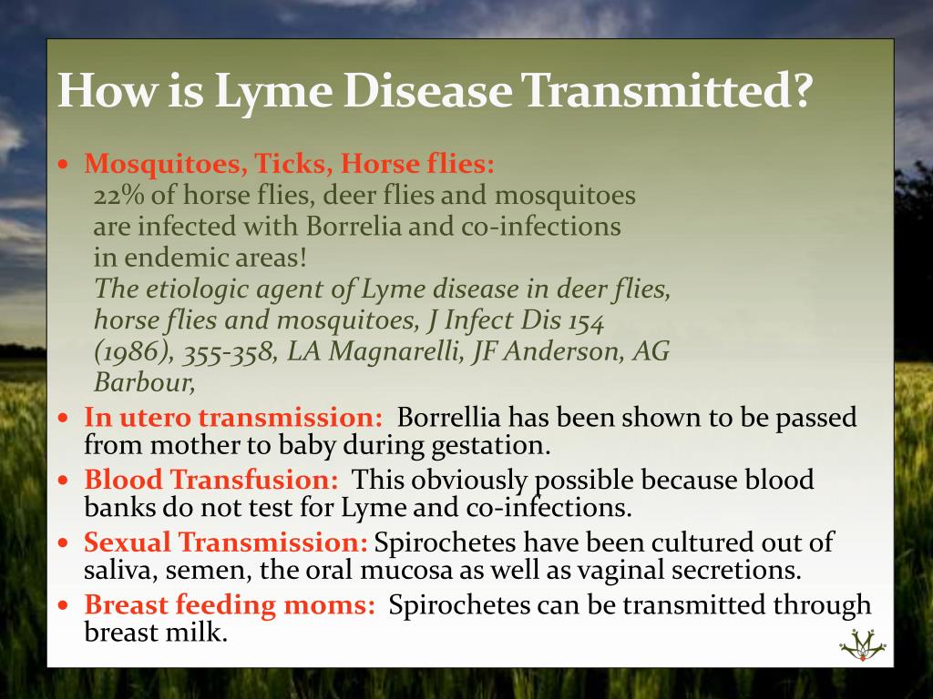 PPT Symptoms common and less common Lyme Disease Misdiagnosed as