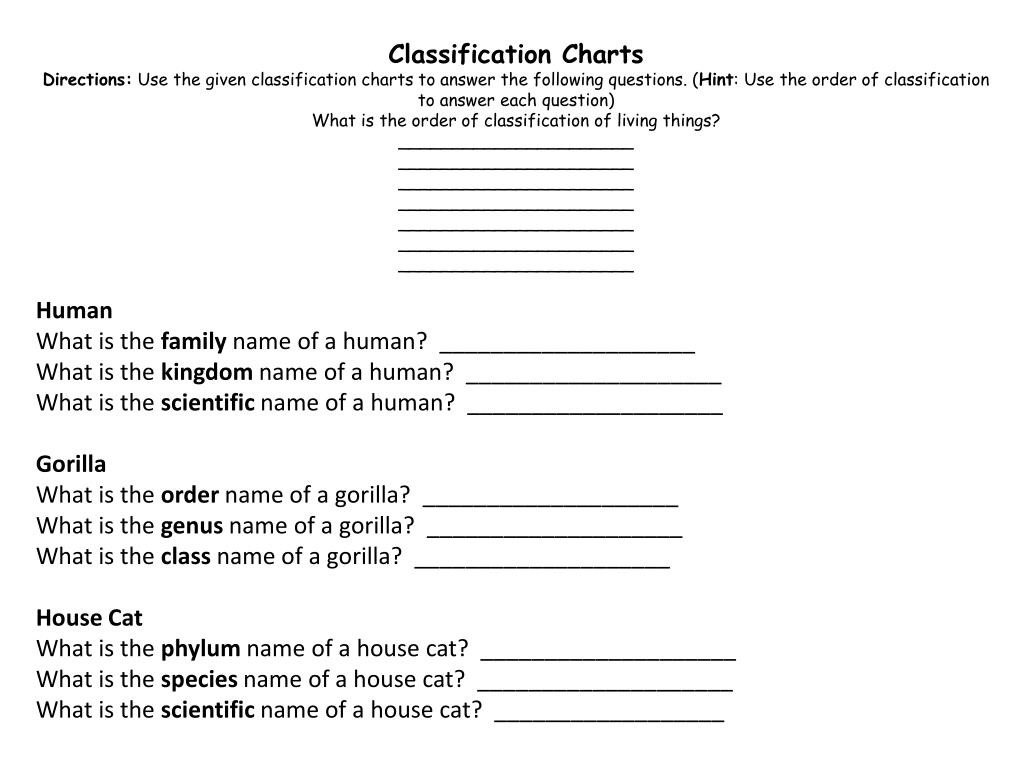 Gorilla Classification Chart