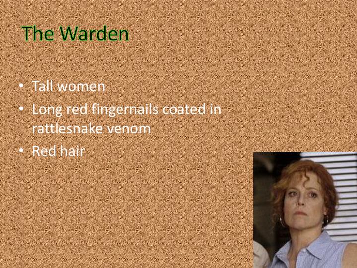 PPT Holes By Louis Sachar PowerPoint Presentation ID2427787