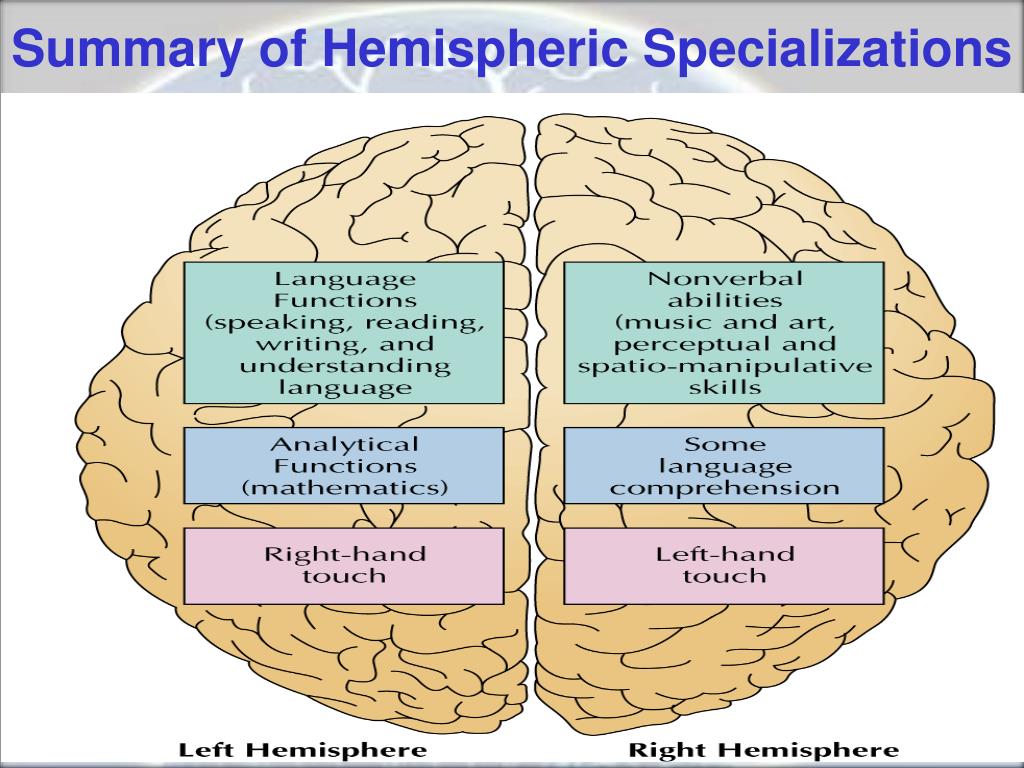 Integrative Function of the Nervous System PowerPoint Biology Diagrams
