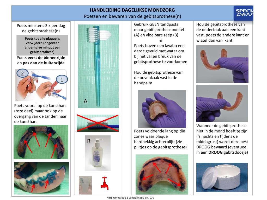 MAKKA Tongschrapers - Mondverzorging Voor De Tong - Tongreiniger En Tongborstel Tegen Slechte Adem Koper Anti Bacterieel 2 Stuks Met Reisetui MAKKA Tongschrapers - Mondverzorging Voor De Tong - Tongreiniger En Tongborstel Tegen Slechte Adem Koper Anti Bacterieel 2 Stuks Met Reisetui