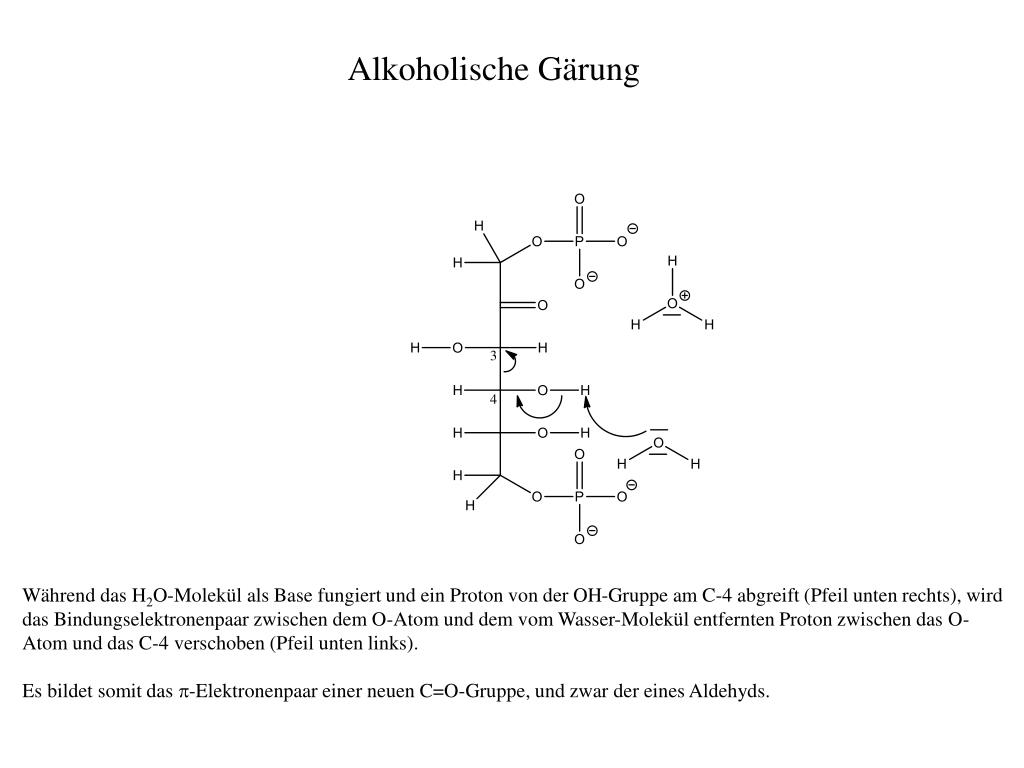PPT - Alkoholische Gärung PowerPoint Presentation, free download - ID