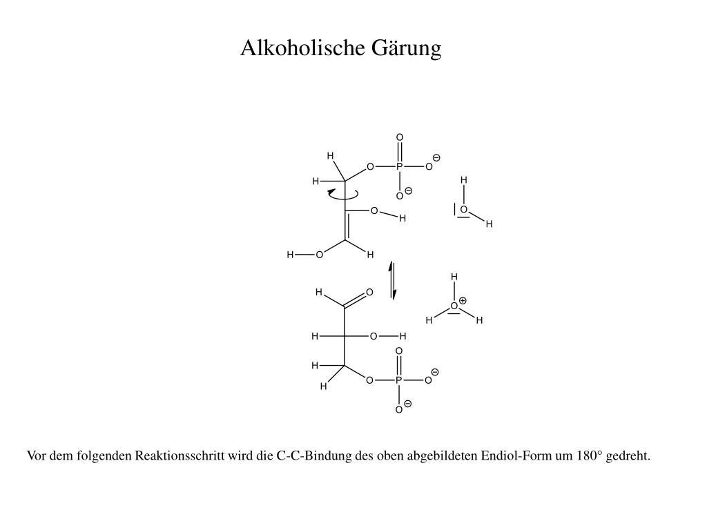 PPT - Alkoholische Gärung PowerPoint Presentation, free download - ID