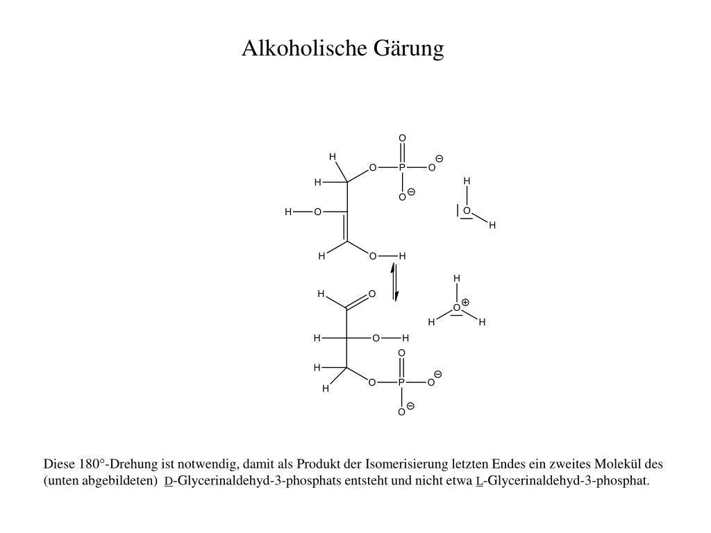 PPT - Alkoholische Gärung PowerPoint Presentation, free download - ID ...