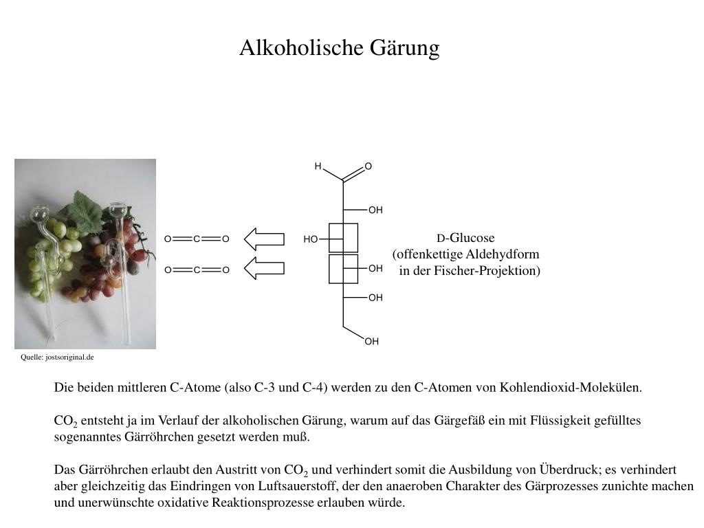 PPT - Alkoholische Gärung PowerPoint Presentation, free download - ID ...