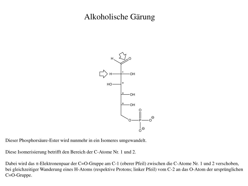 PPT - Alkoholische Gärung PowerPoint Presentation, free download - ID ...