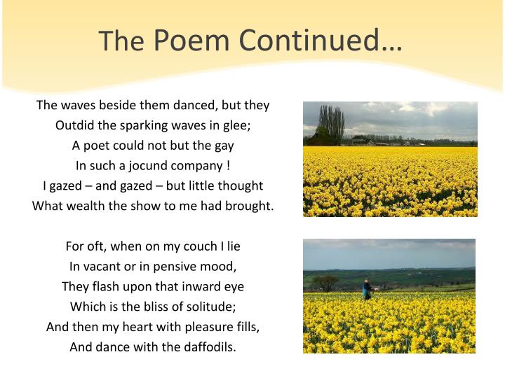 PPT Poem The Daffodils PowerPoint Presentation ID2428794