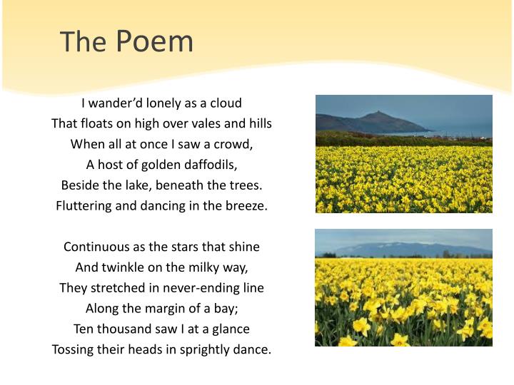 PPT Poem The Daffodils PowerPoint Presentation ID2428794