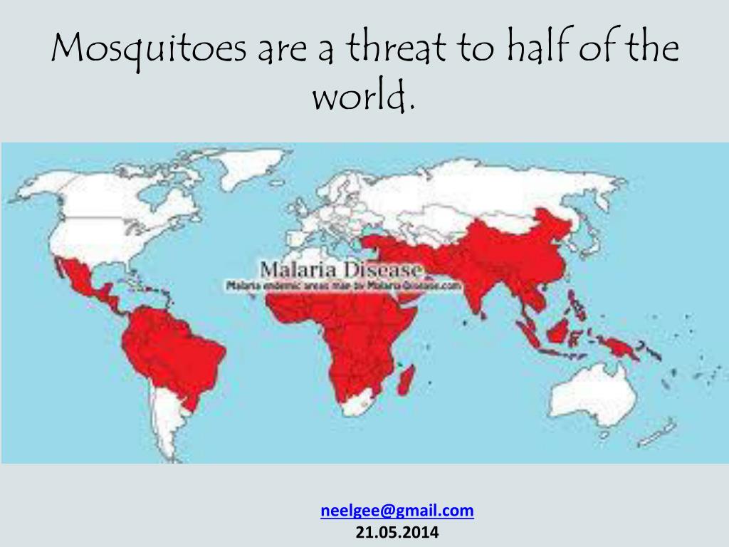 Малярия распространена. Карта малярии. Карта малярии в мире. Распространение малярии. Распространенность малярии в мире.