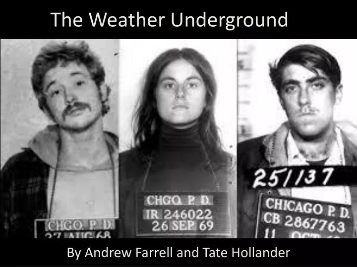 The Weather Underground. 