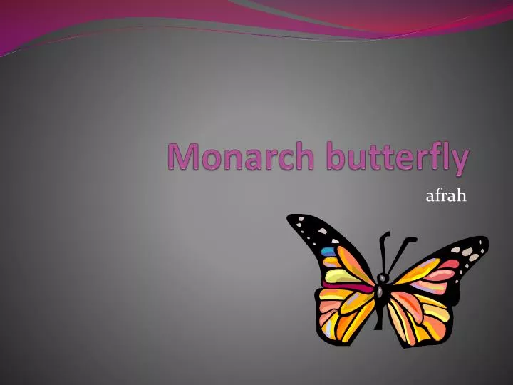 PPT Monarch butterfly PowerPoint Presentation, free download ID2430433