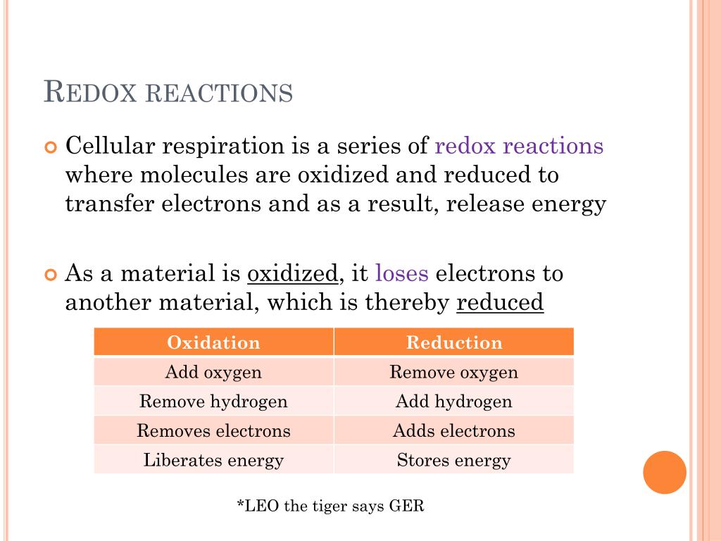 PPT - Cellular Respiration PowerPoint Presentation, free download - ID