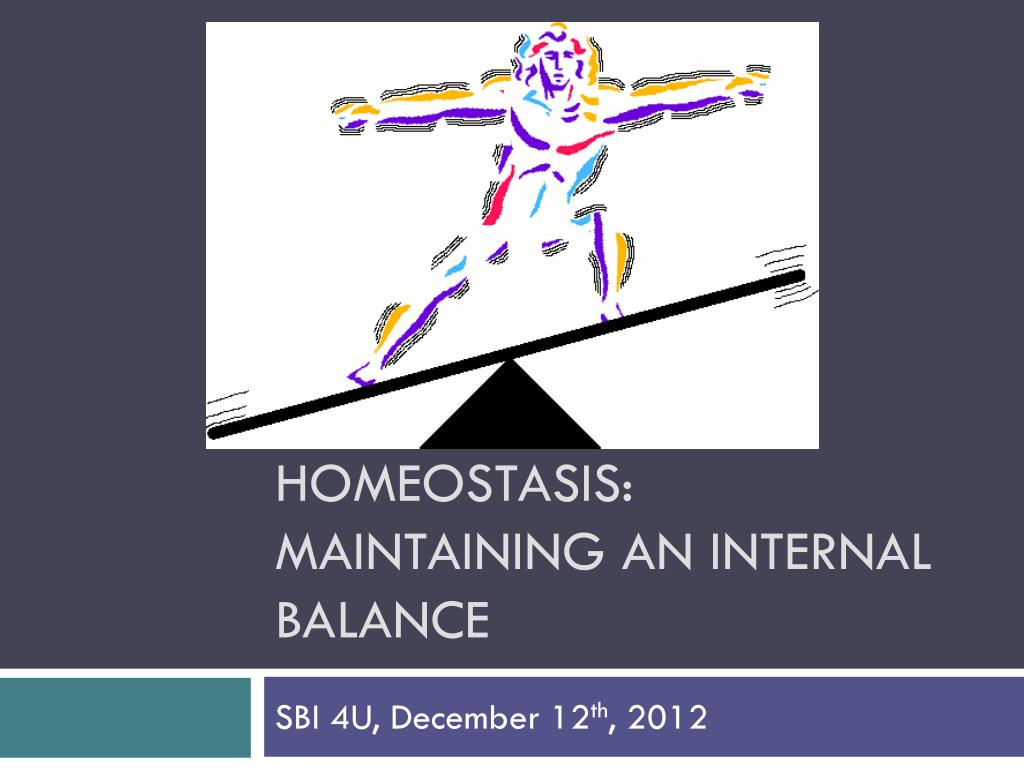PPT Homeostasis maintaining an internal balance PowerPoint