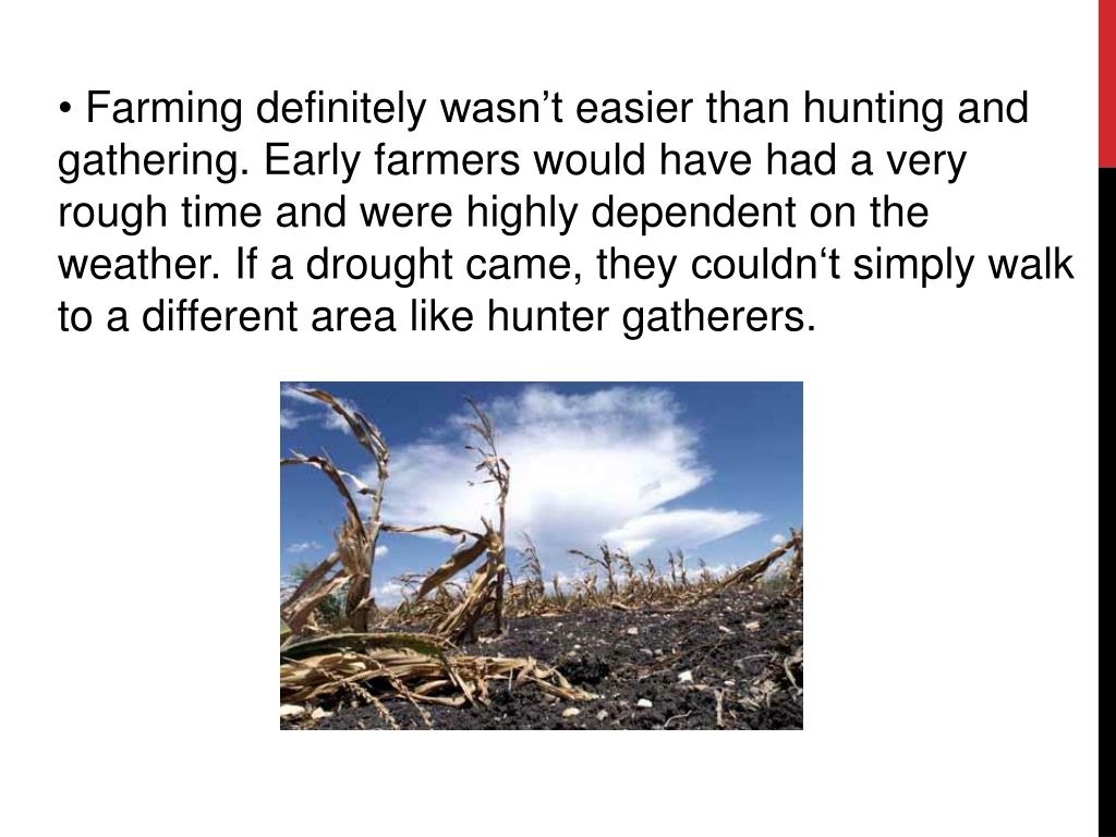 PPT - Domestication of plants and animals PowerPoint Presentation, free ...