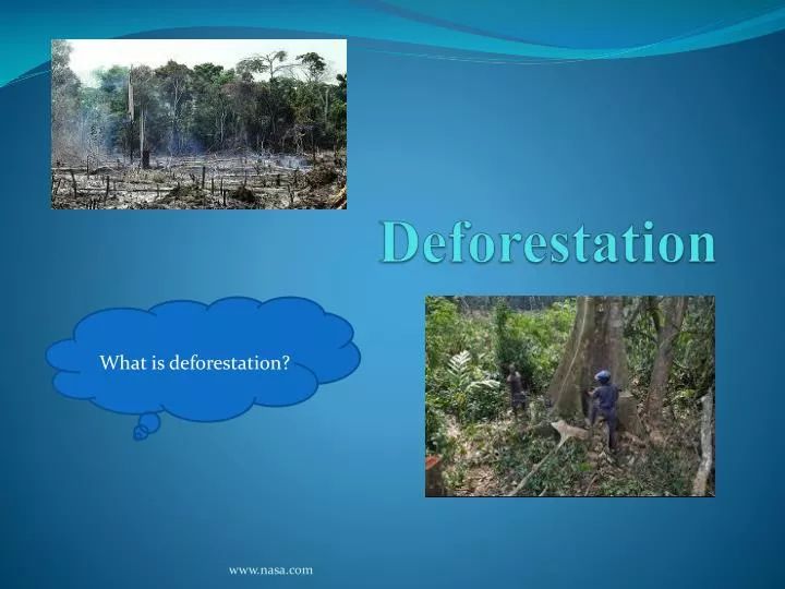 PPT - Deforestation PowerPoint Presentation, free download - ID:2433906