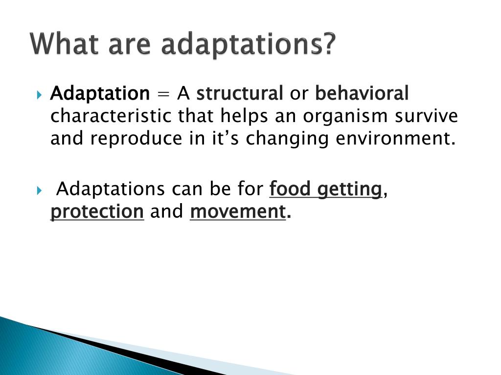 PPT  Adaptations PowerPoint Presentation, free download  ID2435096