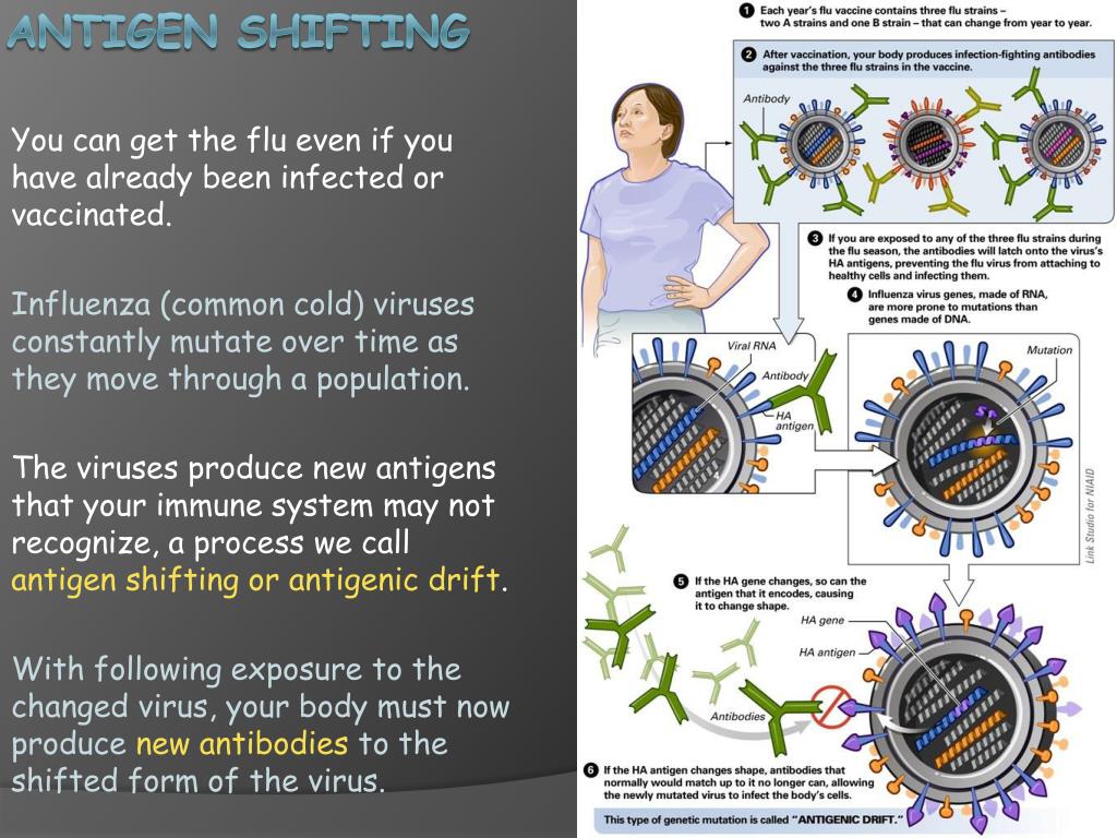 PPT - Biology 40.3 Disease Transmission and prevention ... PPT - Biology 40.3 Disease Transmission and prevention ...