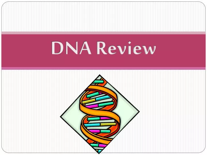 dna review n.