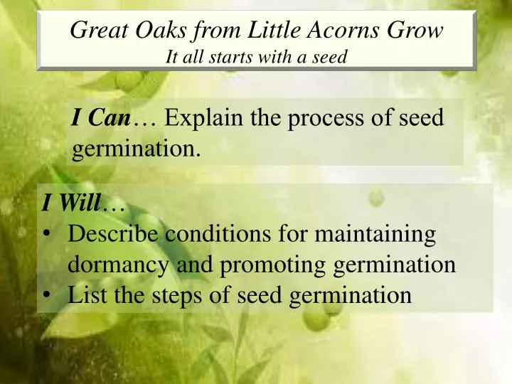 PPT Great Oaks from Little Acorns Grow It all starts with a seed