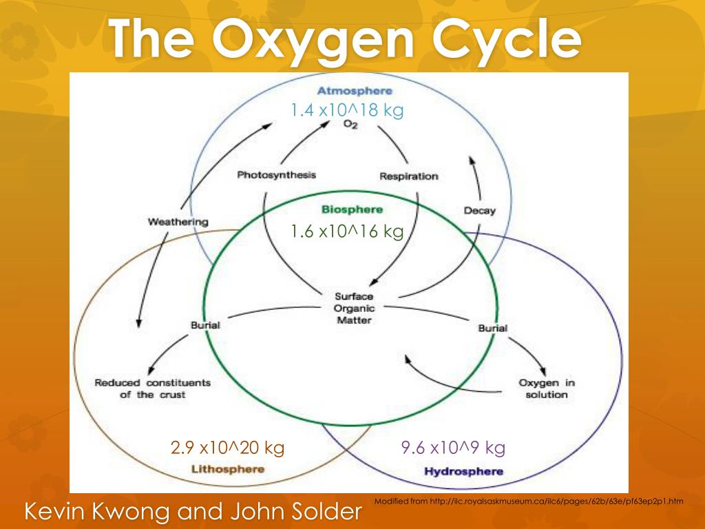 presentation on oxygen cycle