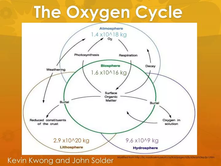 power point presentation on oxygen cycle