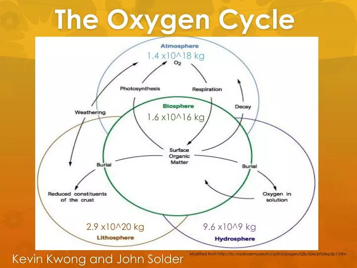 report oxygen cycle The PPT Cycle PowerPoint Presentation ID:2435815 Oxygen report oxygen cycle The PPT Cycle PowerPoint Presentation ID:2435815 Oxygen