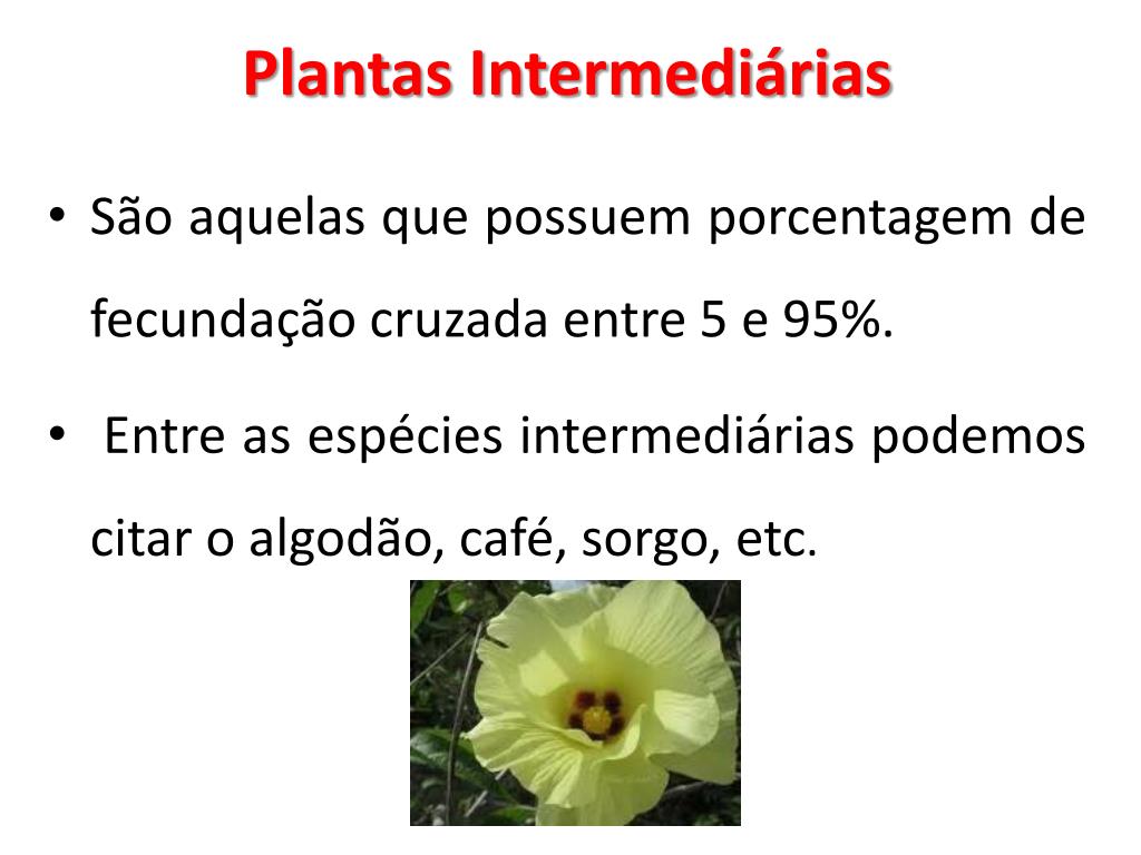 PPT - SISTEMAS REPRODUTIVOS DE PLANTAS CULTIVADAS PowerPoint Presentation -  ID:2435994