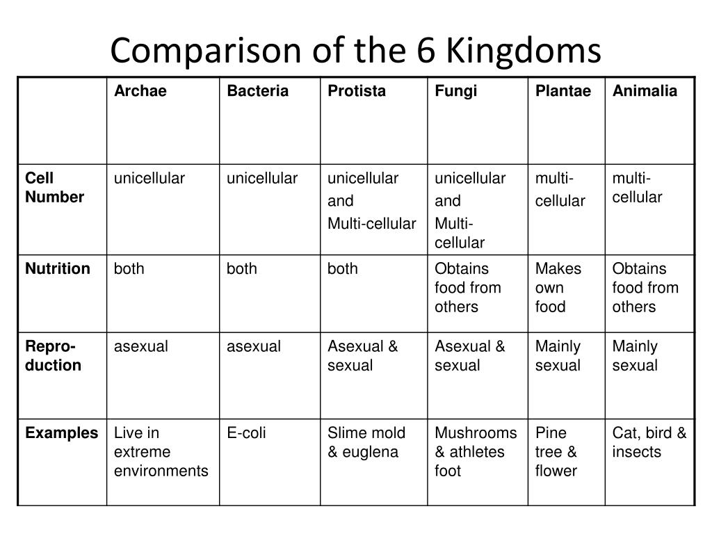 PPT - Comparison of the 6 Kingdoms PowerPoint Presentation, free ...