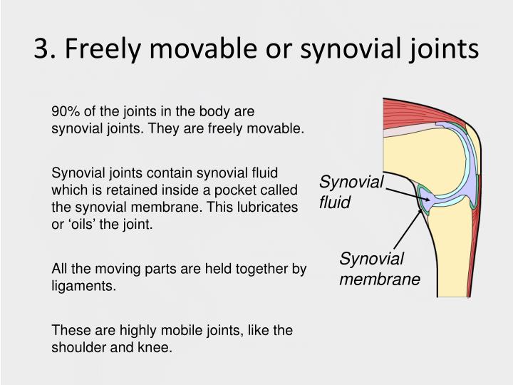 freely movable joints freely movable joints